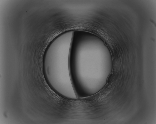 X0000097640673200802290823