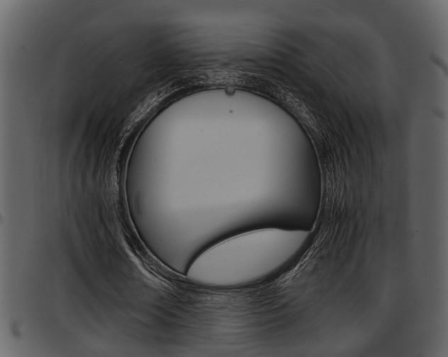X0000097640674200802290823