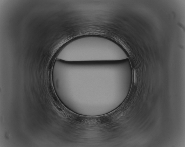X0000097640675200802290823
