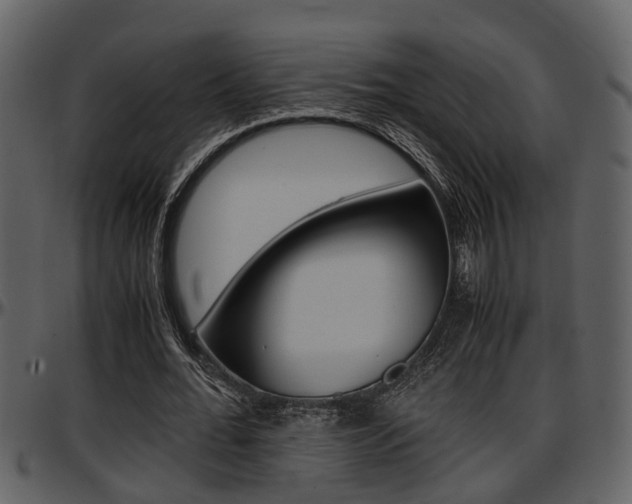 X0000097640676200802290823
