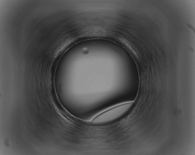 X0000097640677200802290823