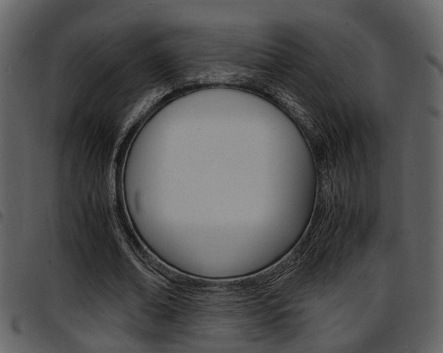 X0000097640678200802290822