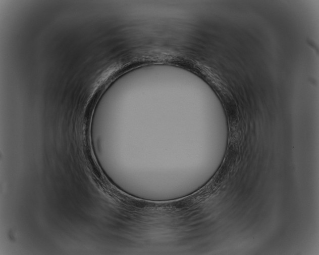 X0000097640679200802290822