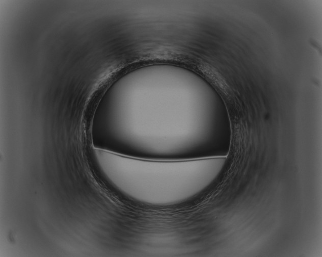 X0000097640680200802290822