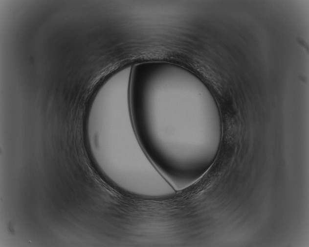 X0000097640681200802290822