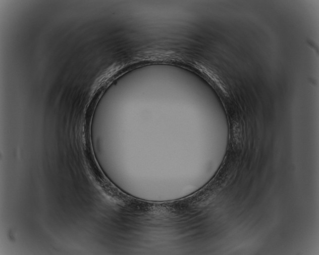 X0000097640682200802290822