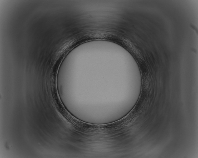 X0000097640683200802290822