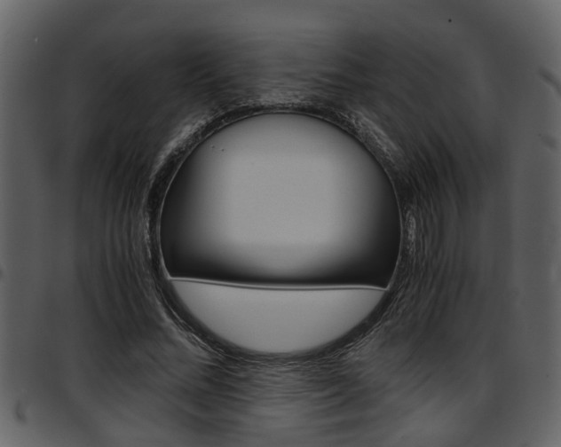 X0000097640684200802290822