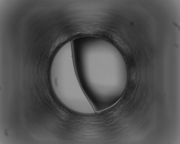 X0000097640685200802290822