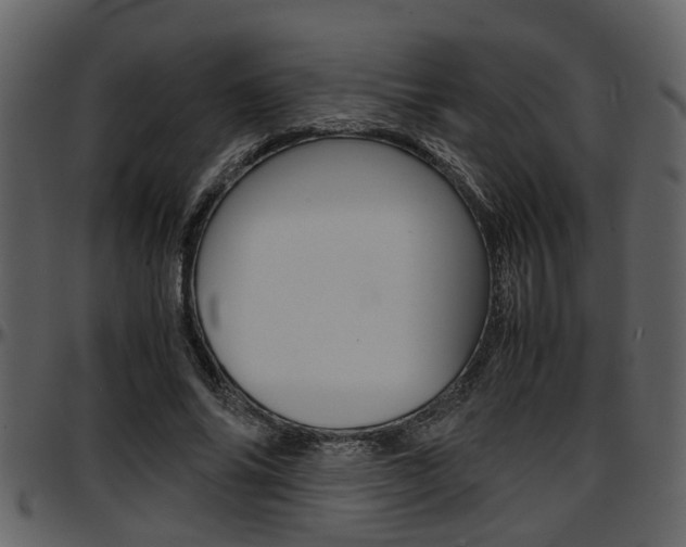 X0000097640686200802290822