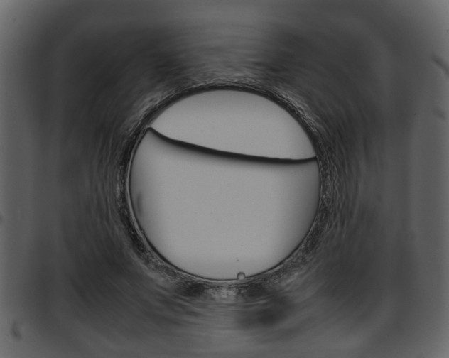 X0000097640687200802290822