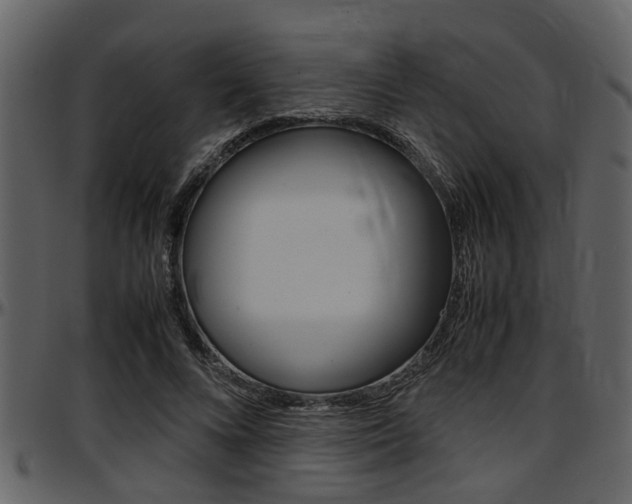X0000097640688200802290822