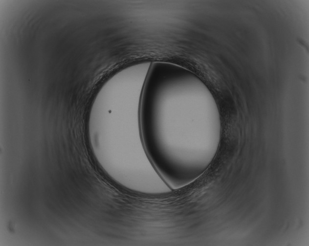 X0000097640689200802290822