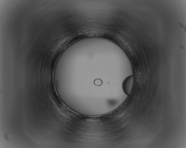 X0000097640690200802290822