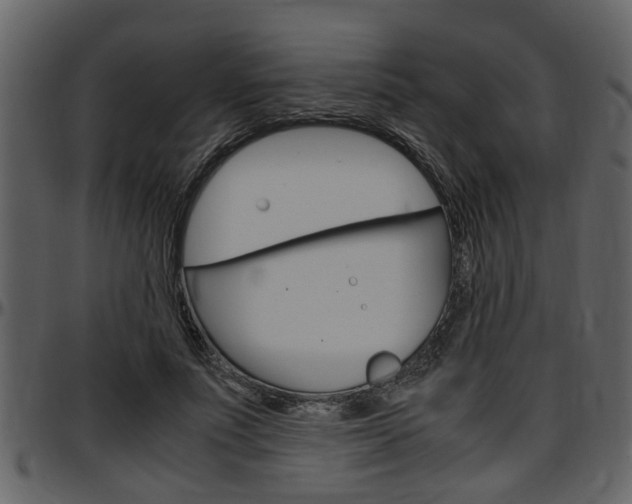 X0000097640691200802290822
