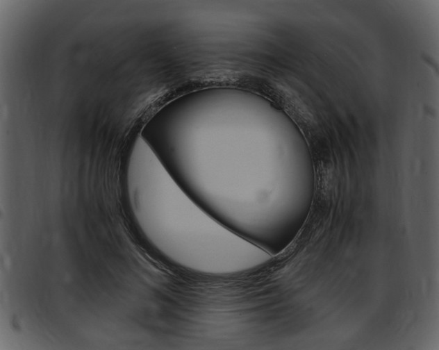 X0000097640692200802290822