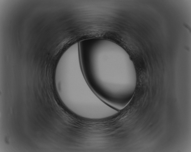 X0000097640693200802290822