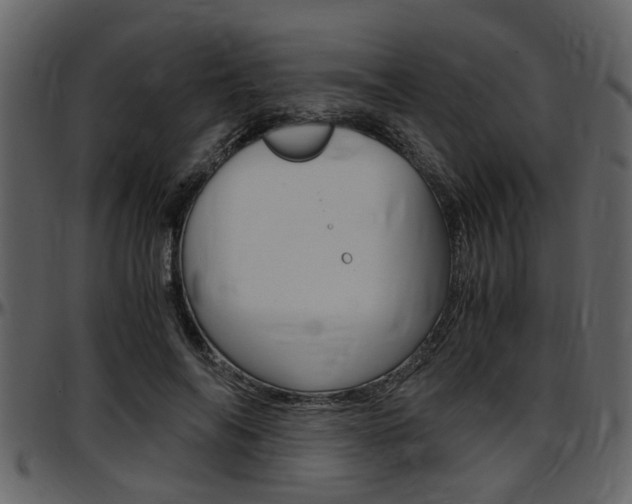 X0000097640694200802290822