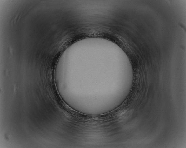 X0000097640695200802290822