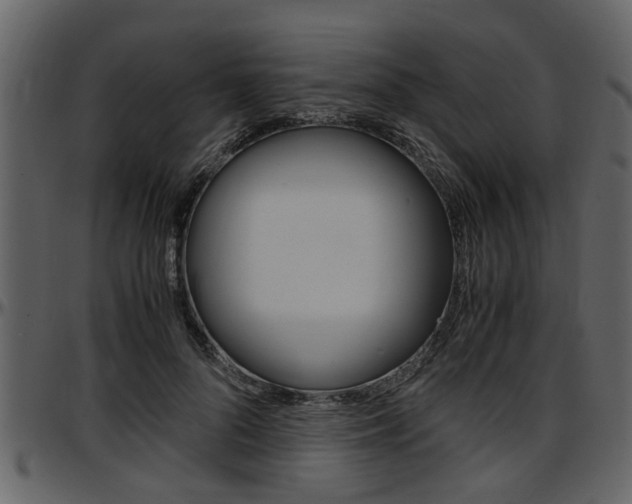 X0000097640696200802290822