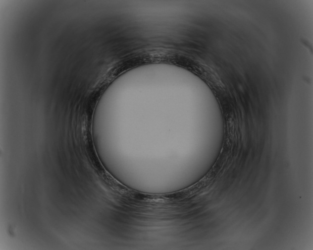 X0000097640698200802290822