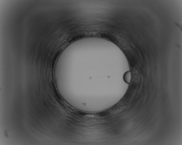 X0000097640699200802290822