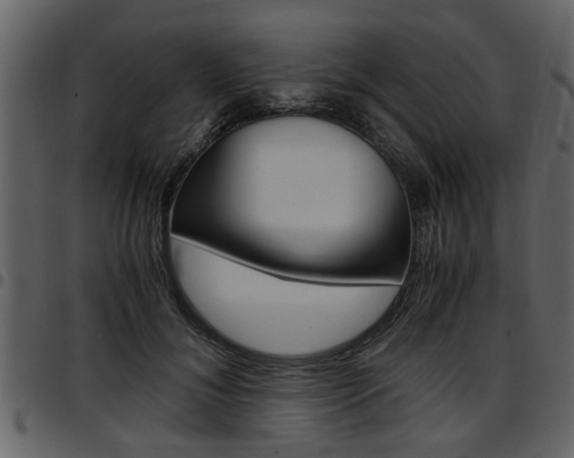 X0000097640700200802290822
