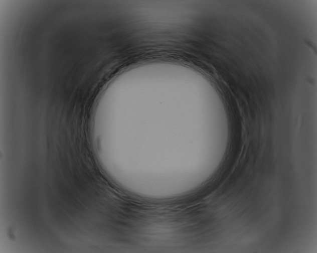 X0000097640701200802290822