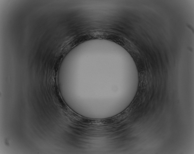 X0000097640702200802290822