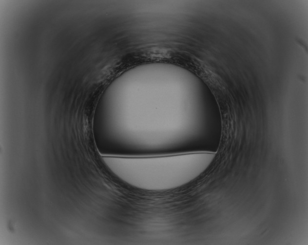 X0000097640704200802290822