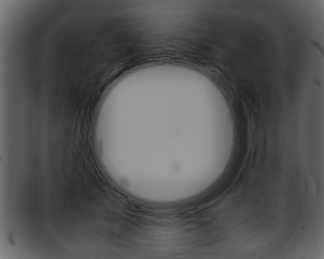 X0000097640705200802290822