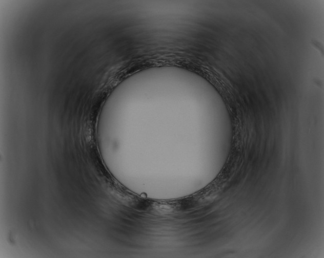 X0000097640706200802290822