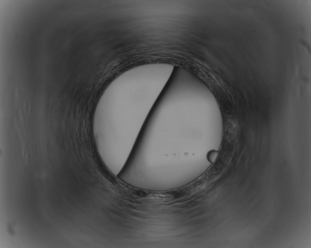 X0000097640707200802290822