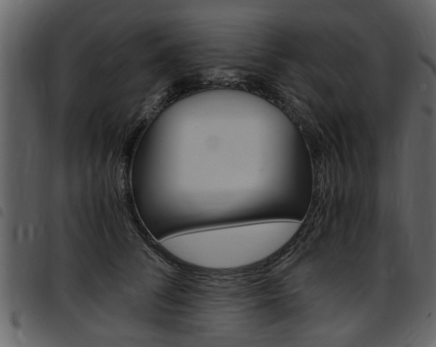 X0000097640708200802290822