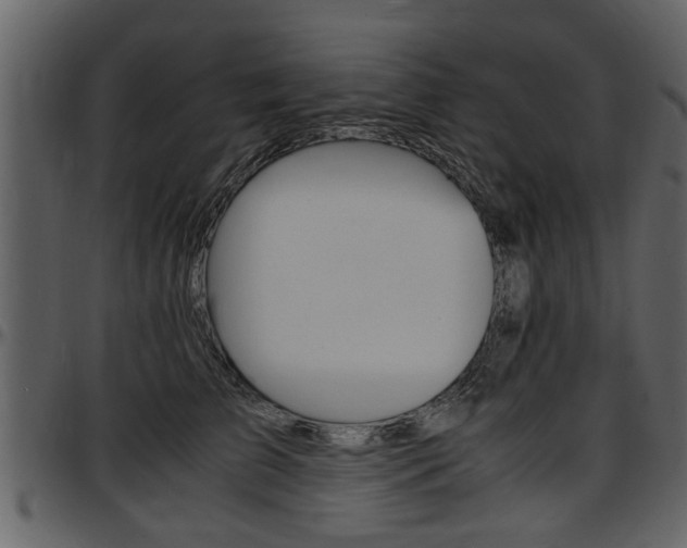 X0000097640709200802290822
