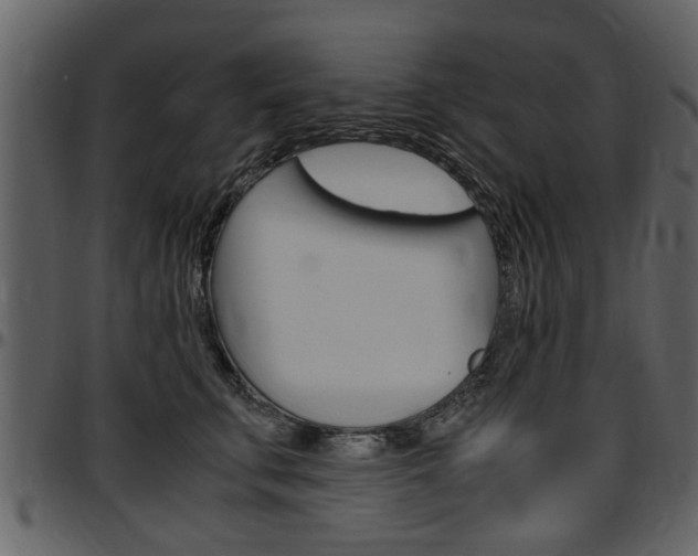 X0000097640711200802290822