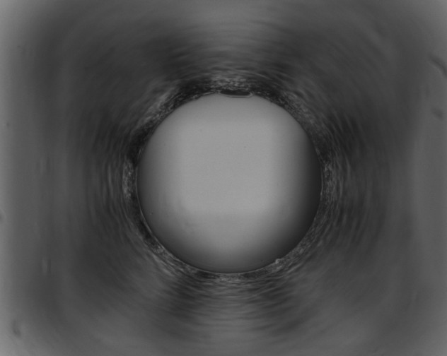 X0000097640712200802290822