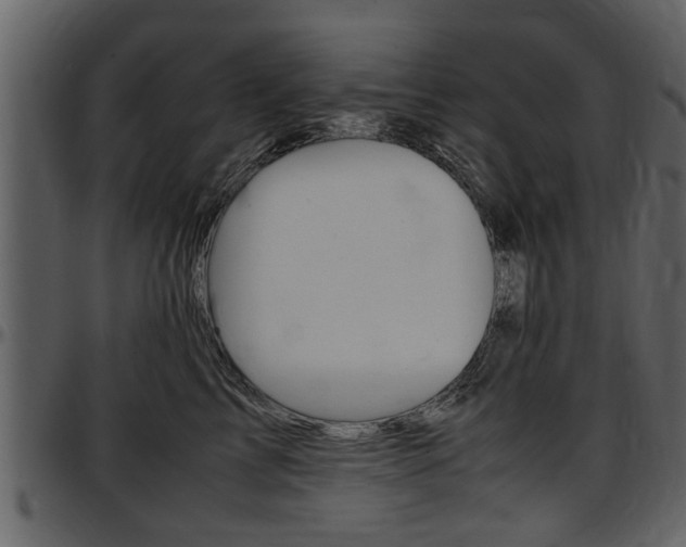 X0000097640713200802290822