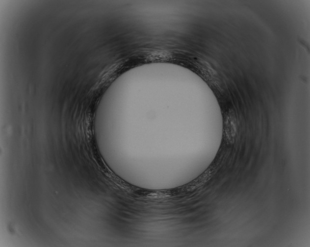 X0000097640714200802290822