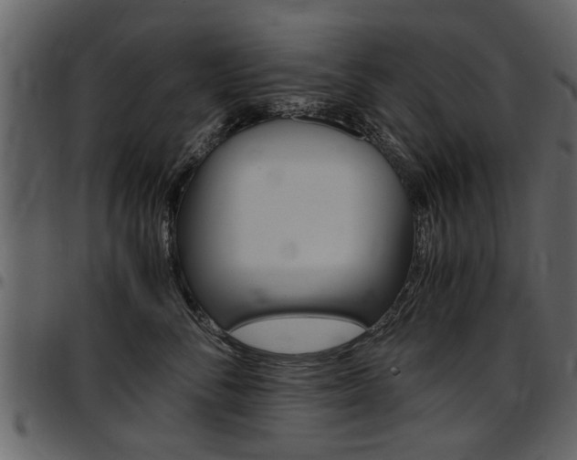 X0000097640716200802290822