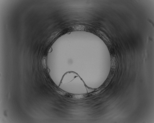 X0000097640717200802290822