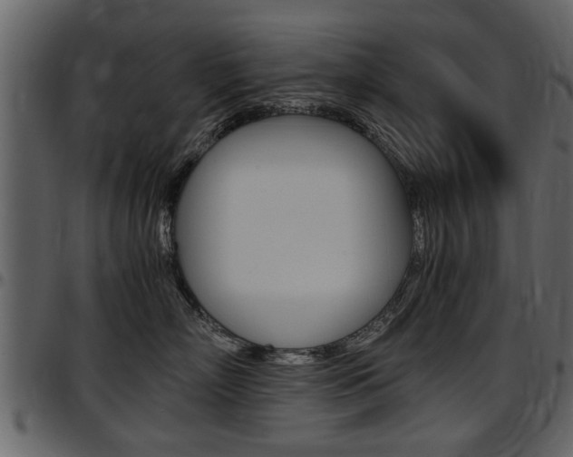 X0000097640718200802290822
