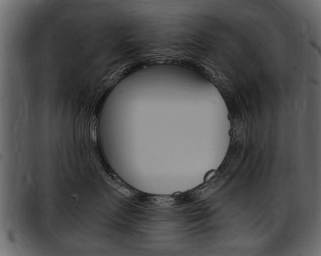 X0000097640719200802290822