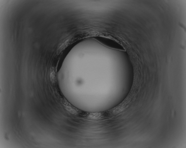 X0000097640720200802290822