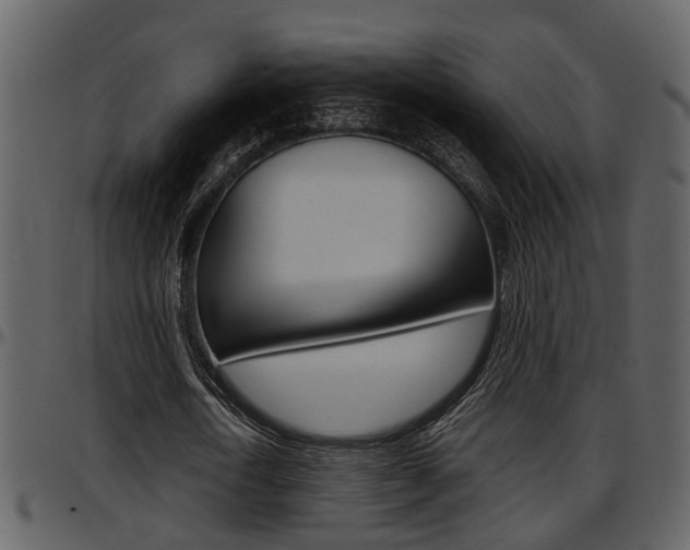 X0000097640722200802290821