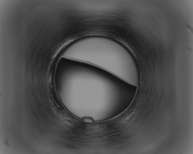 X0000097640723200802290821