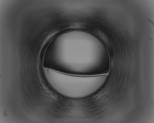 X0000097640724200802290821