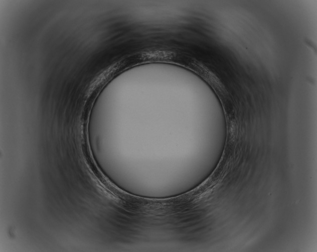 X0000097640725200802290821