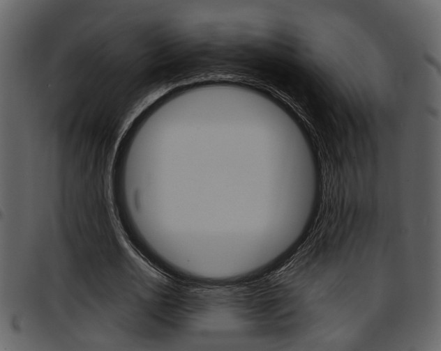 X0000097640726200802290821