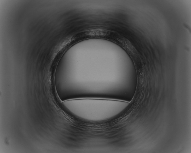 X0000097640727200802290821